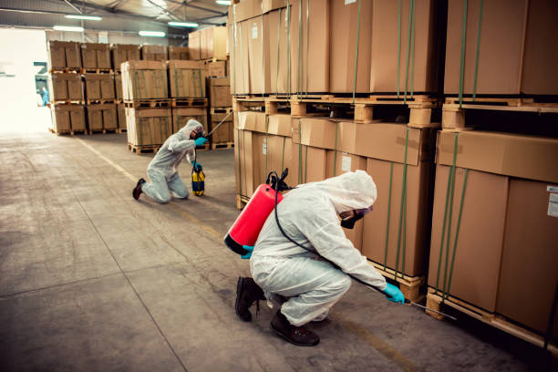 Best Best Pest Control Companies  in High Bridge, WA