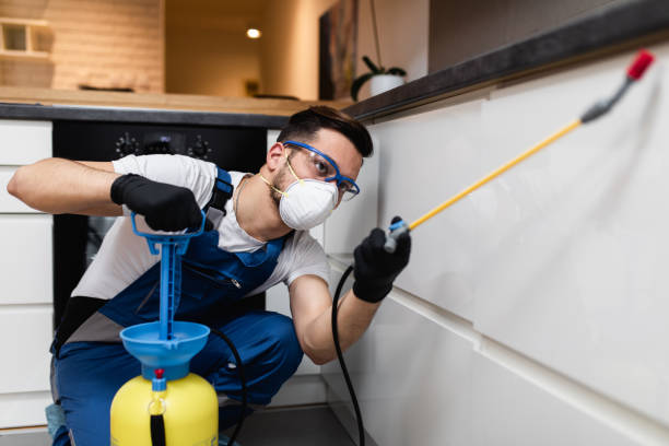 Best Pest Control for Restaurants  in High Bridge, WA