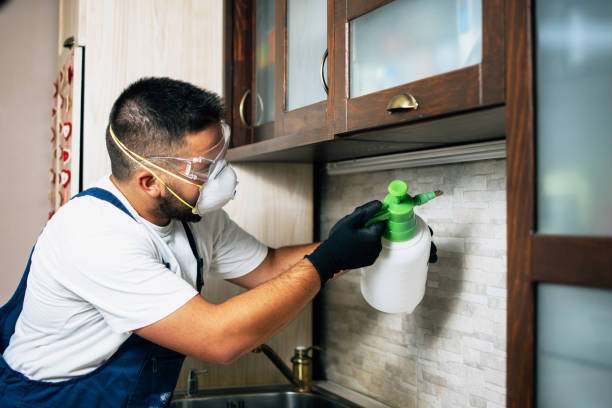 Best Mosquito Control Services  in High Bridge, WA