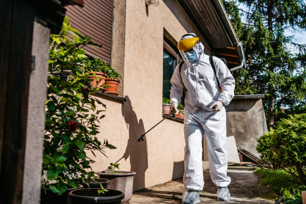 Best Termite Control Services  in High Bridge, WA