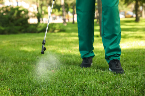 Best Ant Control Services  in High Bridge, WA