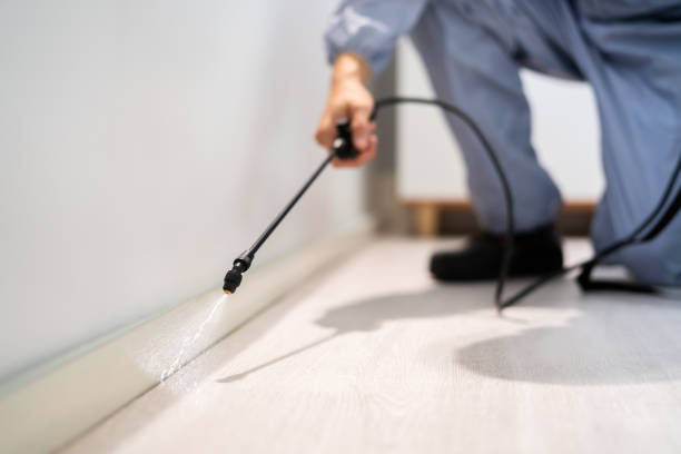 Pest Control Cost in High Bridge, WA