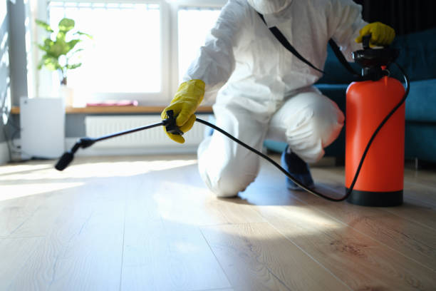 Professional Pest Control in High Bridge, WA