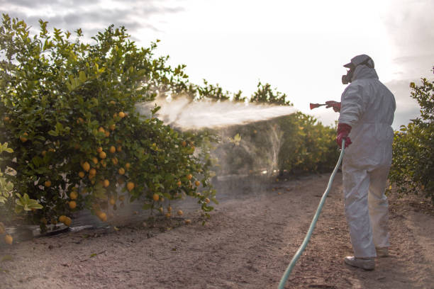 Pest Control for Restaurants in High Bridge, WA