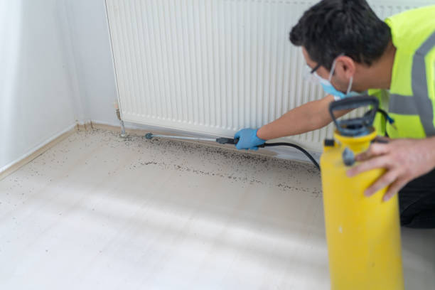 Best Flea Control Services  in High Bridge, WA