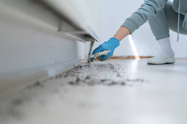 Insect Control in High Bridge, WA