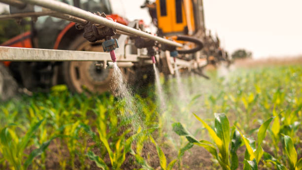 Reliable High Bridge, WA Pest Control Solutions
